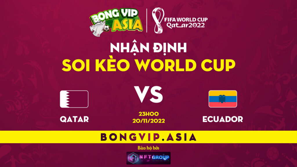 Soi kèo Bongvip Qatar vs Ecuador